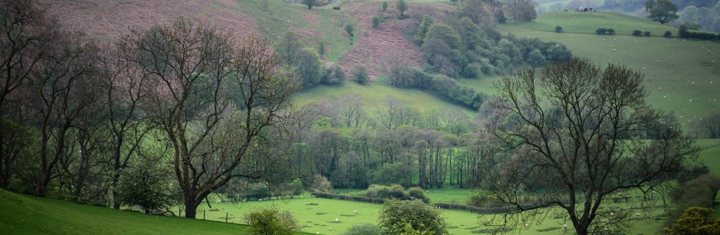 An attractive valley